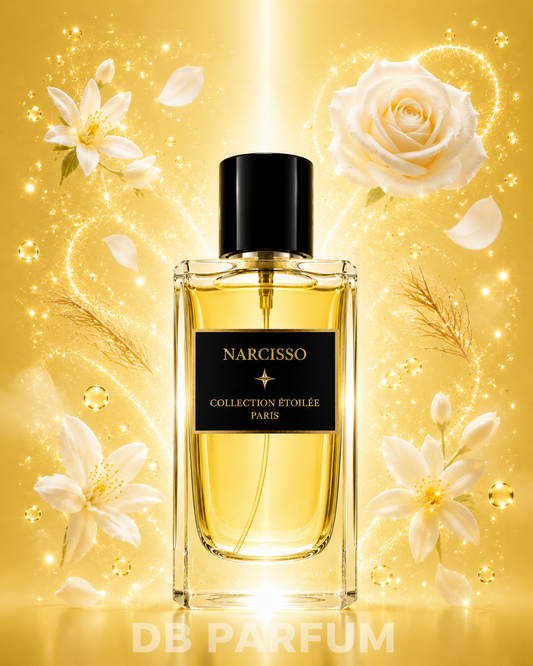 NARCISSO - COLLECTION ÉTOILÉE